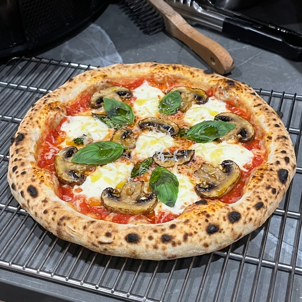 Truffle & Mushroom